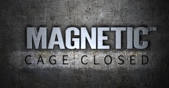 magnetic
