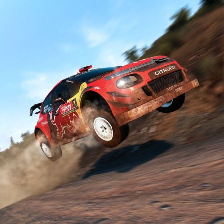 WRC 8 FIA World Ralley Championship
