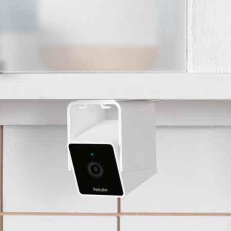 Petcube Cam