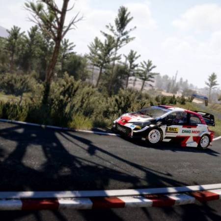WRC 10: The Official Game